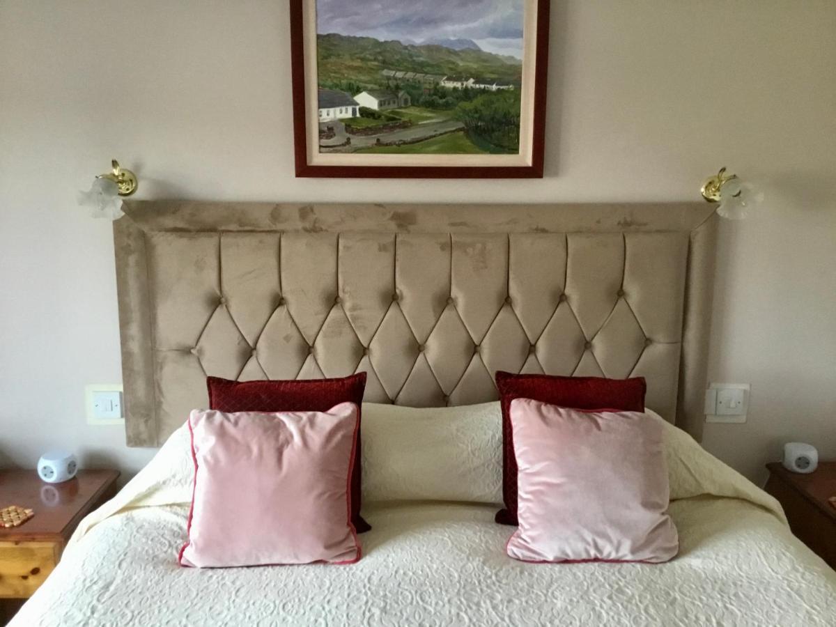 Buttermilk Lodge Guest Accommodation Clifden Εξωτερικό φωτογραφία